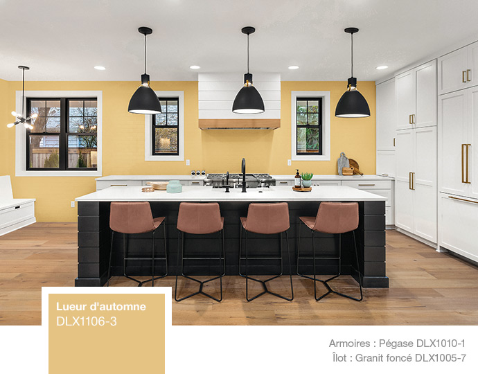 https://www.betonel.com/PPG/Dulux/Media/images/trends/Dulux-2021-colour-inspiration-kitchen-2-fr.jpg