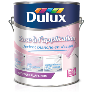 Dulux pour plafonds “Rose à l’application” 