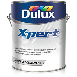 Enduit pour blocs Dulux X-pert 